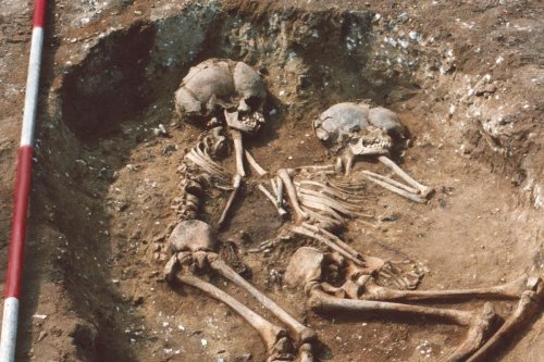 DNA from skeletons ‘challenges perceptions and understanding of ancient England’