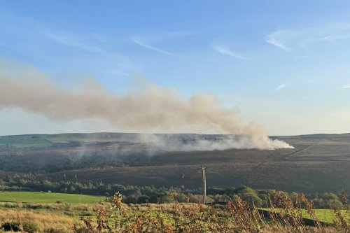 Council calls on Government to ban moorland burning