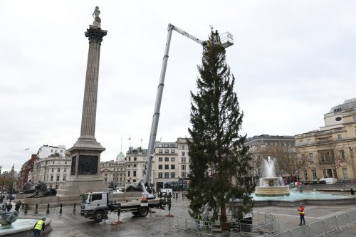 ‘Where’s the rest of it?’ People mock Trafalgar Square Christmas tree