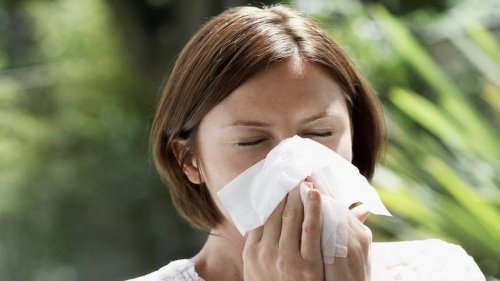 For a second year, Wichita named worst city for allergy sufferers. These are the culprits