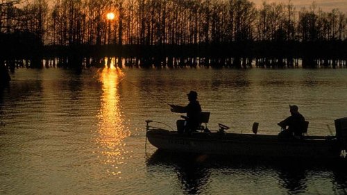 IL is a top state for fishing, site says. Here’s why, and where you should cast a line