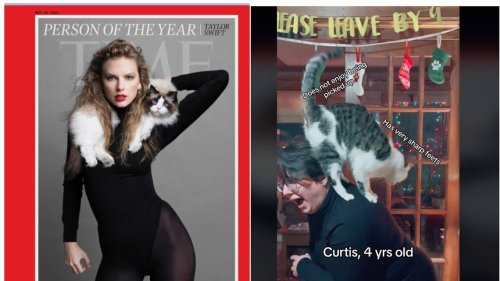 Swifties attempt to re-create her Time cover with their cats. See the hilarious fails