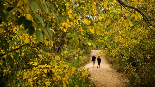 Take a hike. No, really. 10 of Austin's best hiking trails to take in the beauty of the Hill Country.