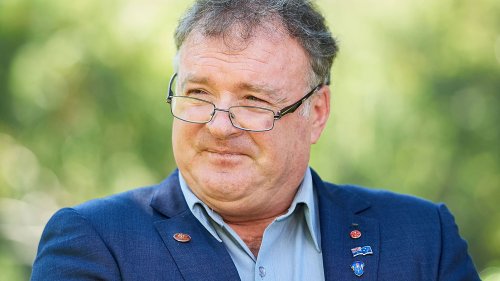 Former One Nation senator charged over allegedly lying on election forms