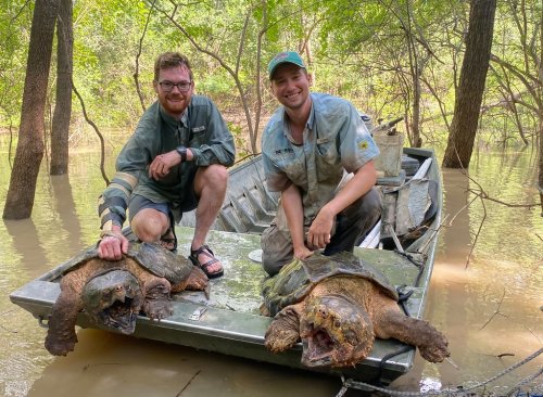 Saving a Species, One Turtle at a Time
