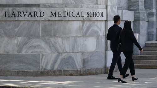 Harvard Medical physicians sue over removal of articles mentioning 'LGBTQ' from government website