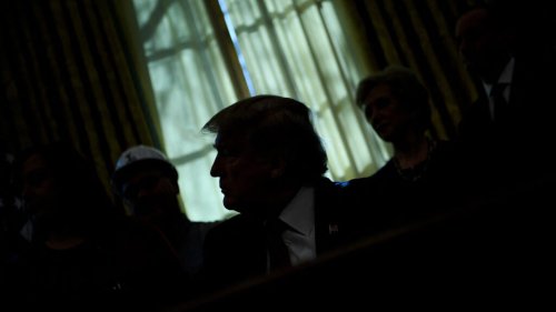 DONALD TRUMP - cover