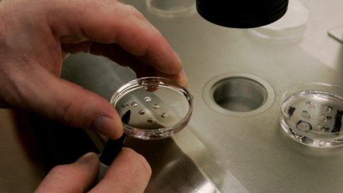 The Alabama IVF ruling uses faux scientific language to justify a religious position