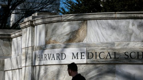 Trump is moving to terminate hundreds of federal grants across Harvard