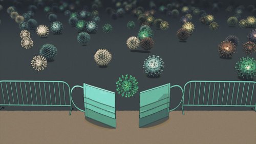 Viruses that were on hiatus during Covid are back — and behaving in unexpected ways