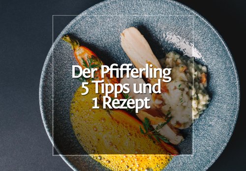 Der Pfifferling • 5 Tipps und 1 Rezept · Berliner Speisemeisterei