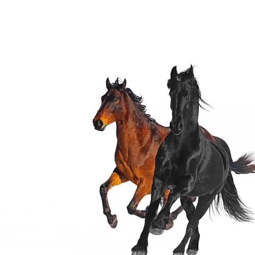 The Number Ones: Lil Nas X’s “Old Town Road” (Feat. Billy Ray Cyrus)
