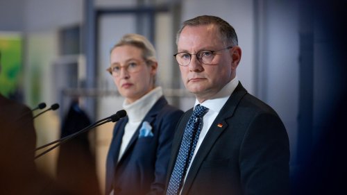 Interne Aufräumaktion – das steckt hinter der neuen Russland-Strategie der AfD