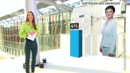 Politiker-Ranking: Sahra Wagenknecht hat mit 67 Prozent die meisten Fans bei der AfD 