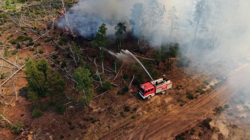 Waldbrand bei Jüterbog ausgeweitet – Hohe Gefahr in Nordsachsen