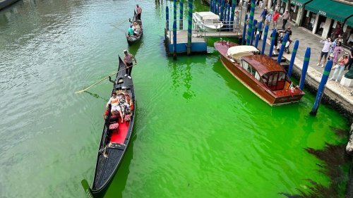 Grünes Wasser in Venedig: Behörden geben Entwarnung