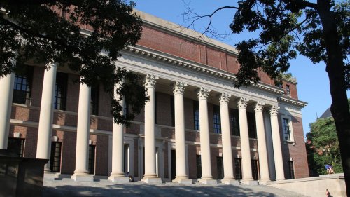 Ich habe selbst in Harvard geforscht – so erkläre ich mir den Hass von Trump