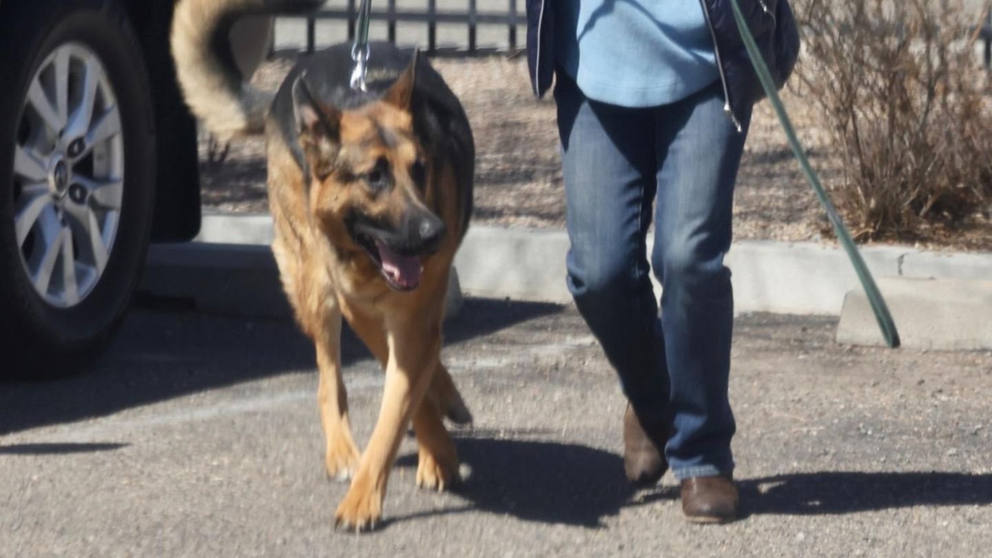 Woran starb der Hund von Gene Hackman und seiner Ehefrau?