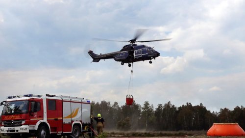 "Eine brenzlige Situation": Wind facht Waldbrand bei Jüterbog wieder an