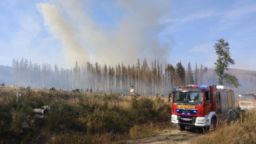 "Wieder einmal" keine Luftunterstützung – Waldbrand im Harz lodert weiter