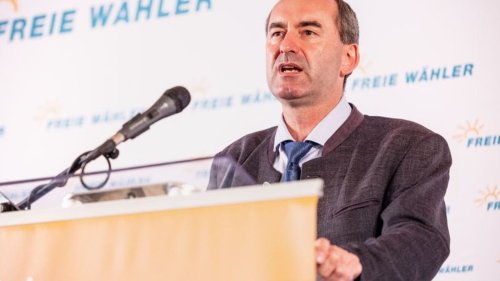 Bauern und Aiwanger: Existenzkrise der Schweinehalter