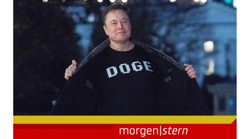 So denken die Amerikaner über Doge und Elon Musk – die Lage am Morgen