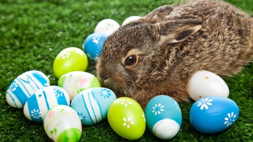 Vier absurde Osterbräuche, die es heute nicht mehr gibt