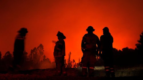 Mindestens 23 Tote bei zahlreichen Waldbränden in Chile