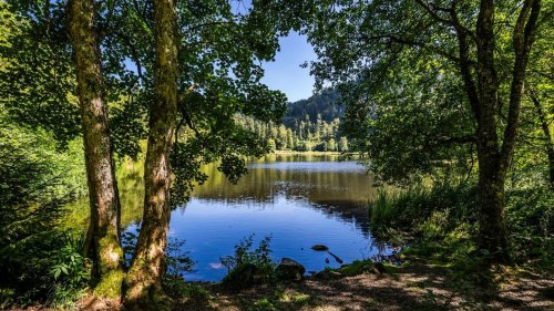 Ein Paradies mitten im Schwarzwald – wenn man den Nonnenmattweiher denn findet