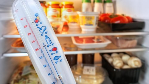 Die richtige Kühlschrank-Temperatur – eine Hüterin für Frische und Effizienz
