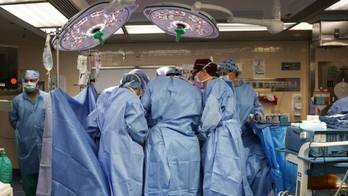 US-Mediziner transplantieren erstmals eine menschliche Blase