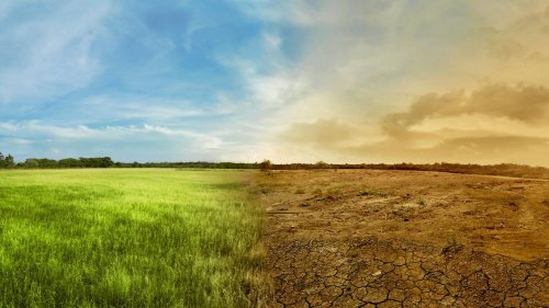Wieso wird es immer wärmer auf der Erde? Der Klimawandel in nur drei Minuten erklärt