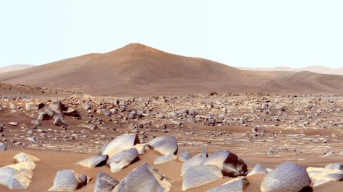"So noch nie gesehen": Mars-Rover stößt auf wissenschaftliche Goldmine