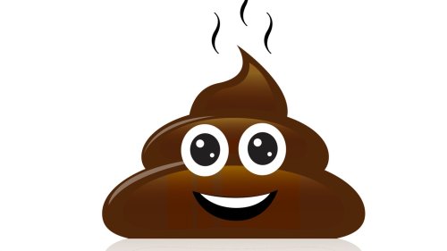 Twitter antwortet auf Medienanfragen jetzt mit Kackhaufen-Emoji – ein Angriff auf die Pressefreiheit