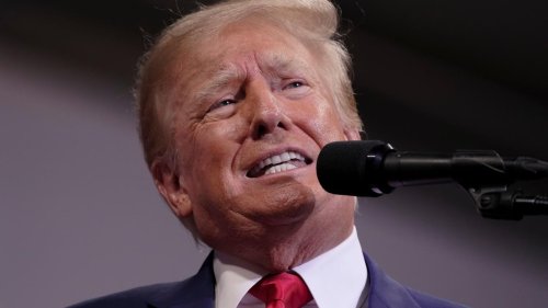 Renommierte Trump-Expertin sagt voraus: "Er will wieder Präsident sein"