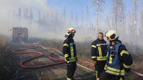Waldbrand bei Munitionsanstalt sorgt für gefährliche Löscharbeiten