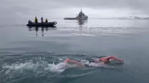 "Eis-Meerjungfrau" knackt Schwimm-Rekord in der Antarktis