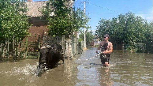 Überflutungen werden Auswirkungen auf Millionen Menschen haben – nicht nur in der Ukraine