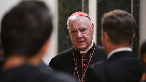Kardinal Müller fordert härteren Umgang mit Homosexuellen