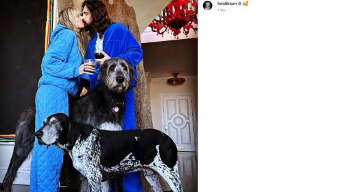Heidi Klum und die Kaulitz-Zwillinge trauern um Hund Capper