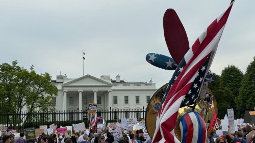 Neue landesweite Proteste gegen Trump