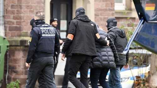Reichsbürger-Razzien: "Absolut richtig, dass der Verfassungsschutz die AfD im Visier hat"