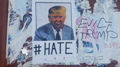 Ich habe selbst in Harvard geforscht – so erkläre ich mir den Hass von Trump