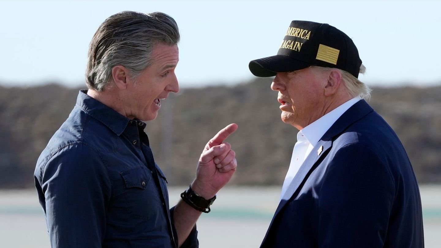 Wer hat das Zeug zum Trump-Schreck?