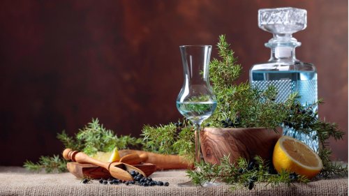 Gin Adventskalender 2021: Fünf Tasting-Tipps für den Wacholder-Kick