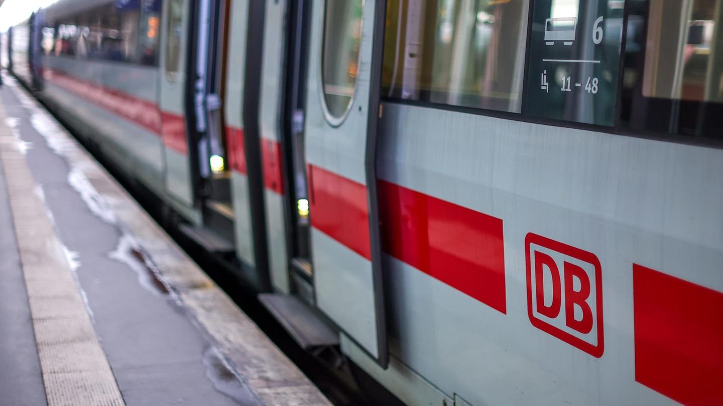 Hobbygärtner fällen Baum – und die Bahn muss eine wichtige Strecke sperren