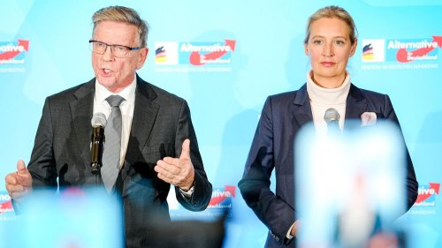 "Den Erfolg der AfD muss man der Union zuschreiben"