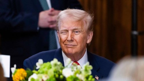 Alle aufwachen! Der tägliche Trump-Wahnsinn ist Kalkül