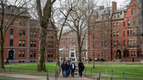 Harvard verklagt Trump-Regierung wegen gekürzten Geldern