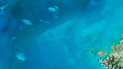 Studie zu mysteriösen weißen Flecken vor Bahamas-Inseln: Wissenschaftler stoßen auf Rätsel